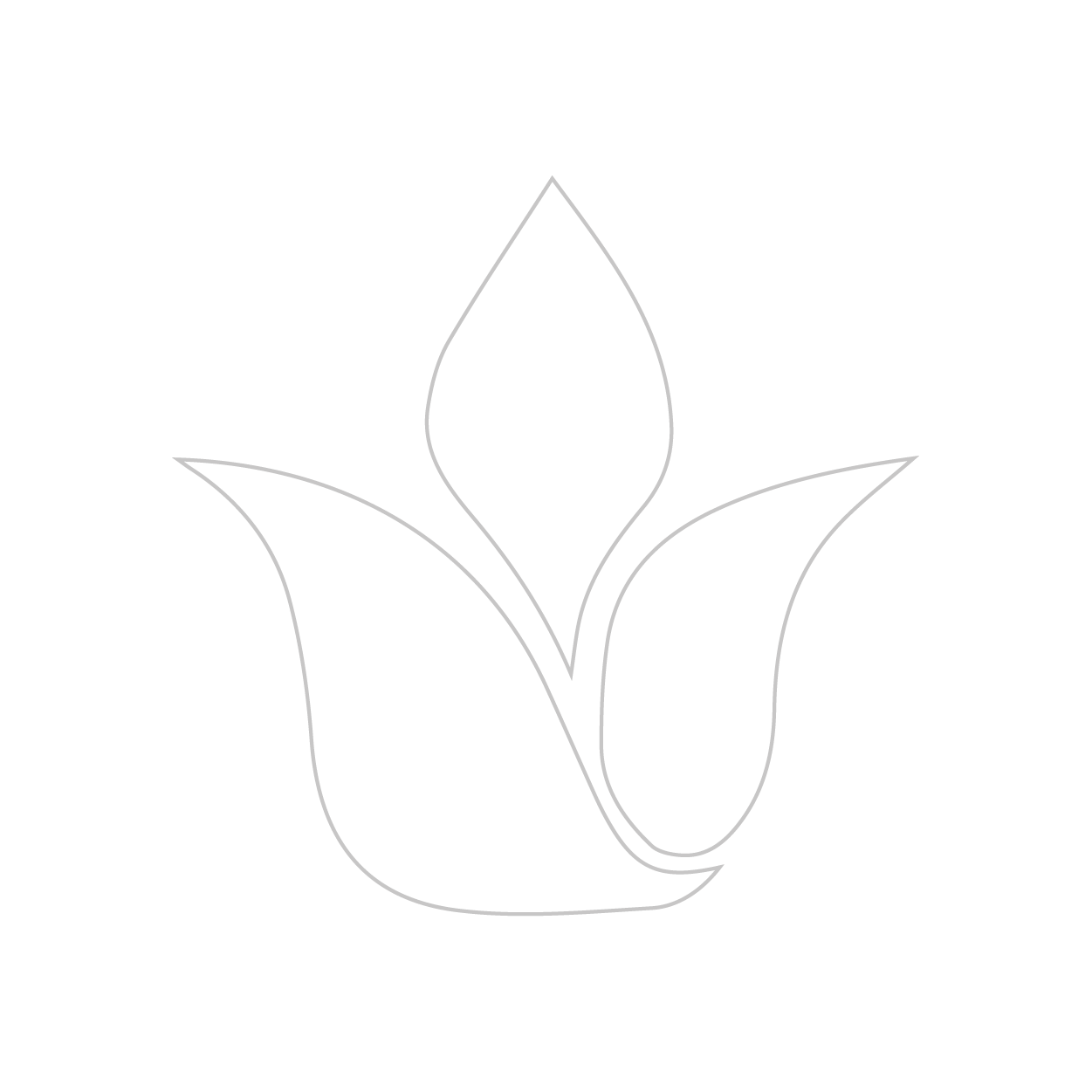Beautiful Design icon